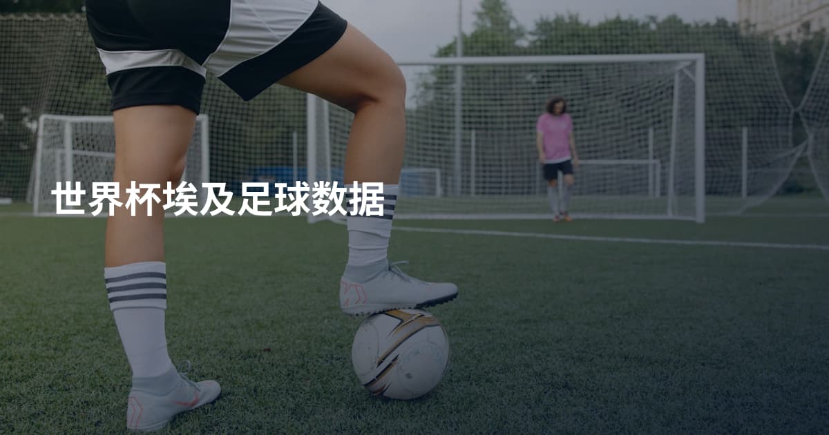 世界杯埃及足球数据