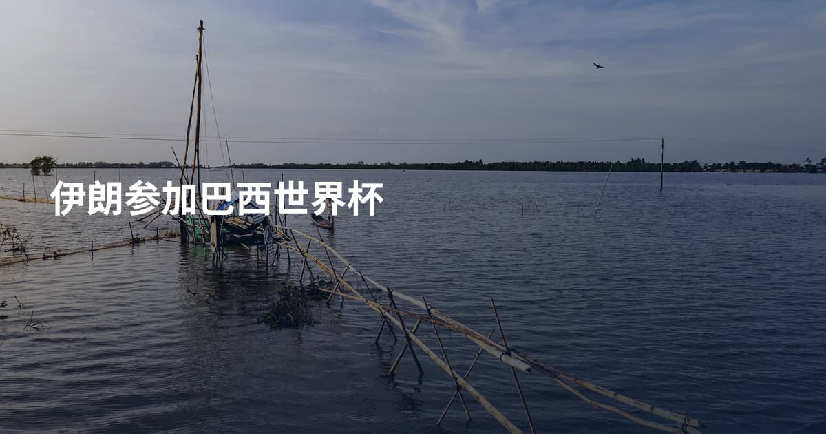 伊朗参加巴西世界杯