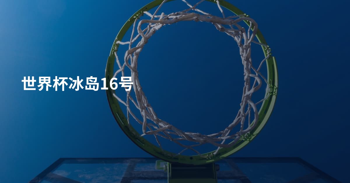 世界杯冰岛16号