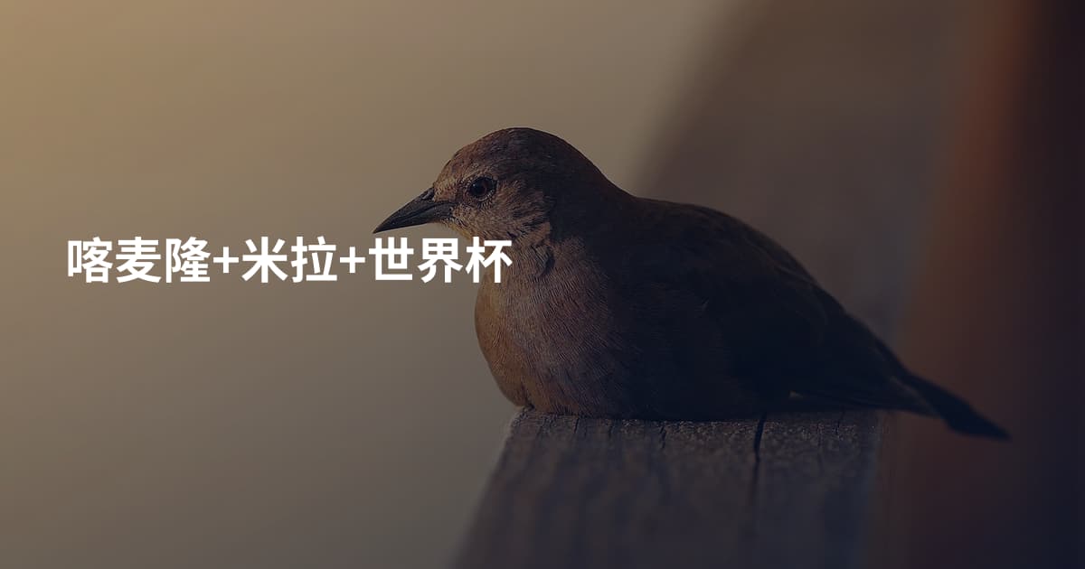 喀麦隆+米拉+世界杯