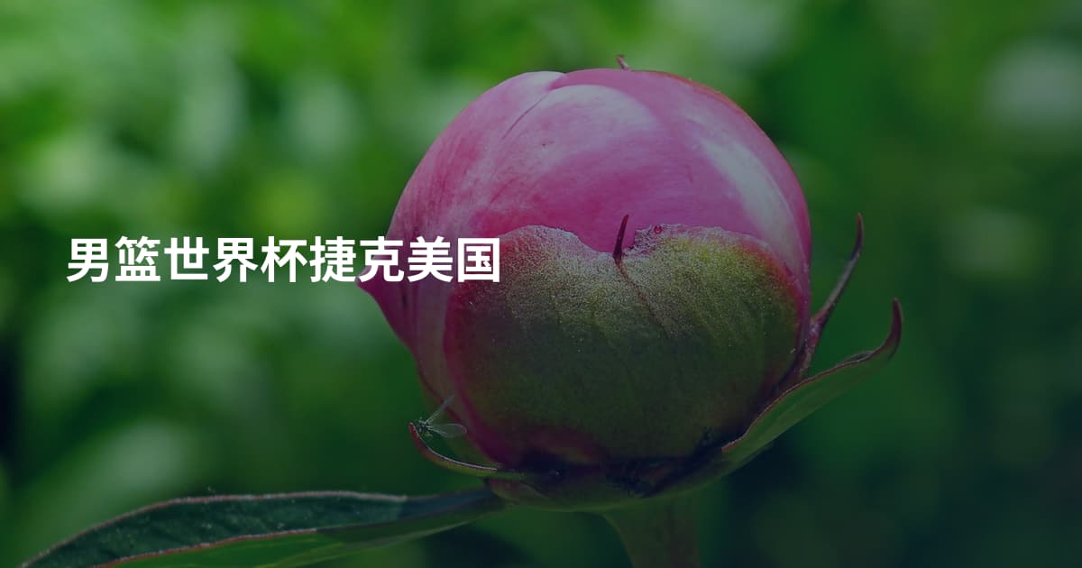 男篮世界杯捷克美国