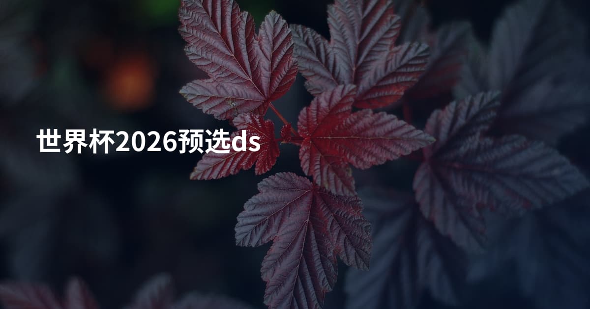 世界杯2026预选ds