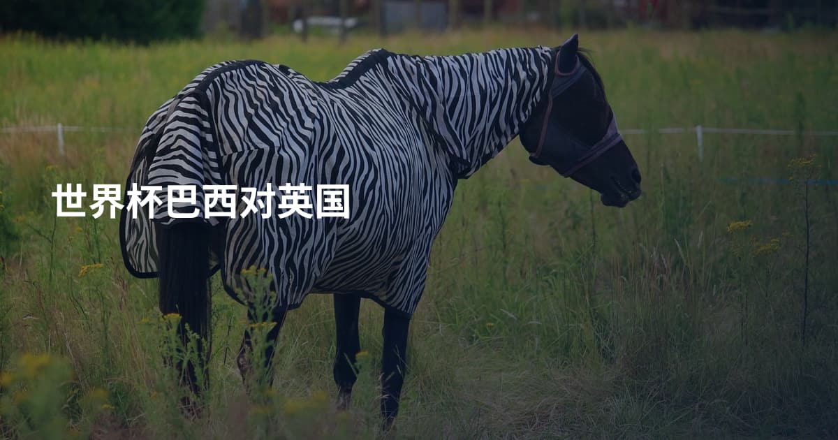 世界杯巴西对英国