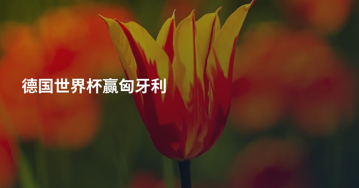 德国世界杯赢匈牙利