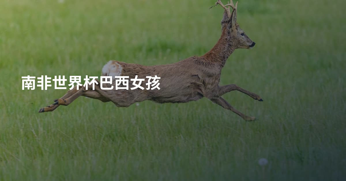 南非世界杯巴西女孩