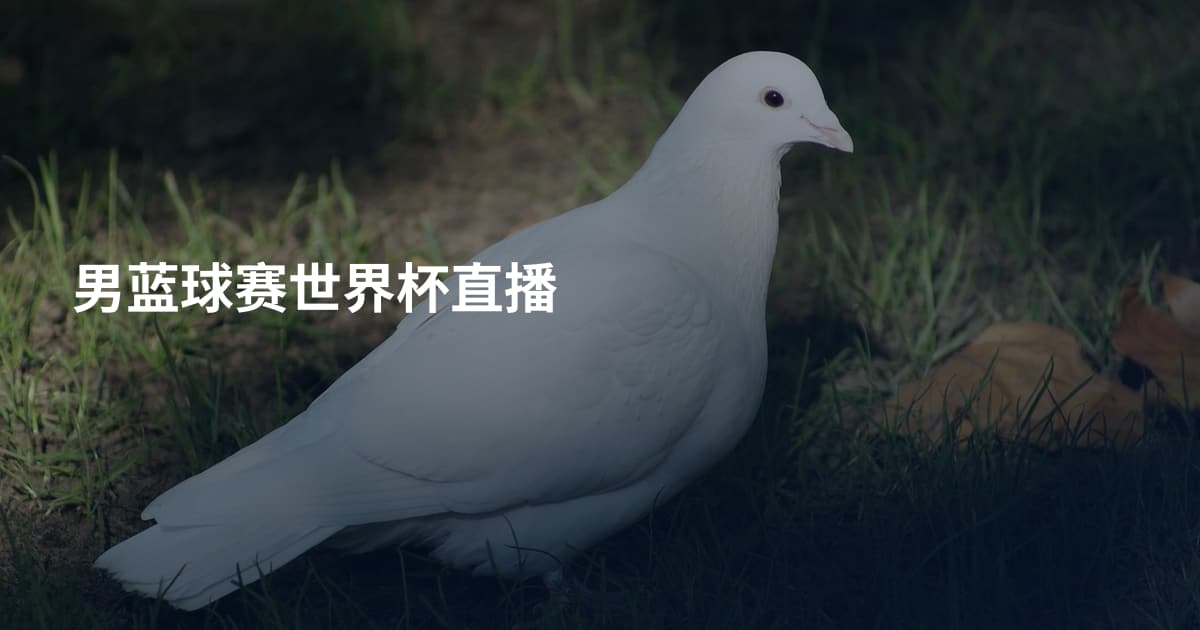 男蓝球赛世界杯直播