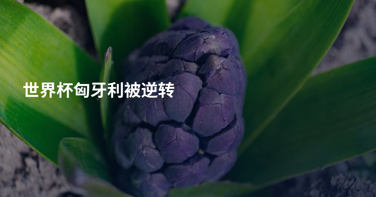世界杯匈牙利被逆转