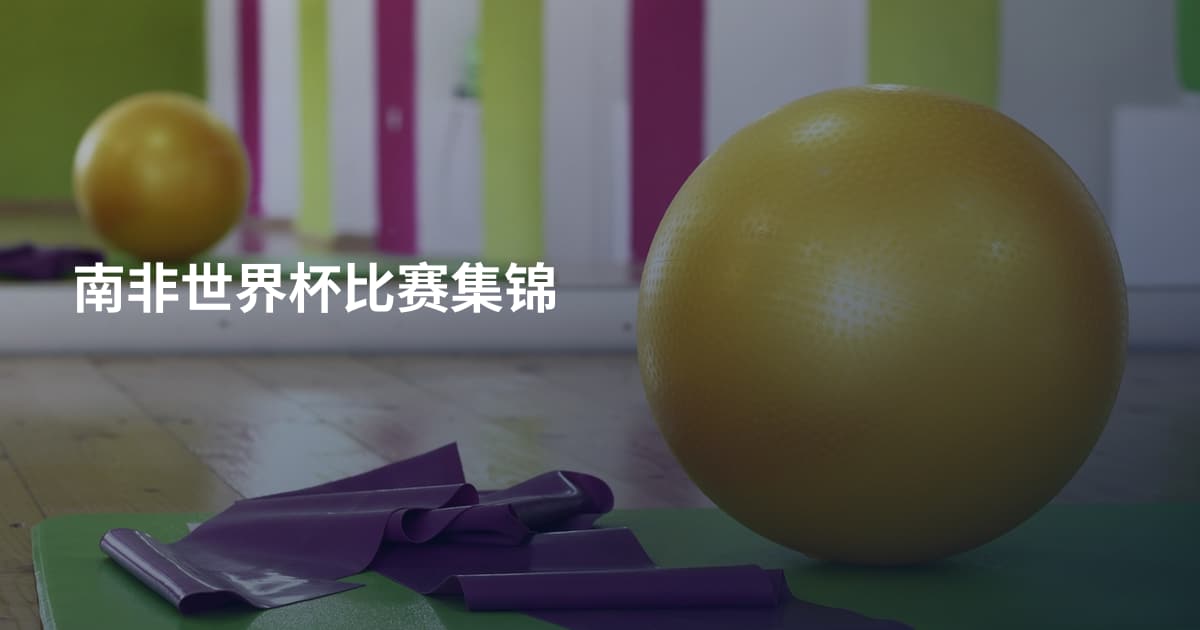 南非世界杯比赛集锦
