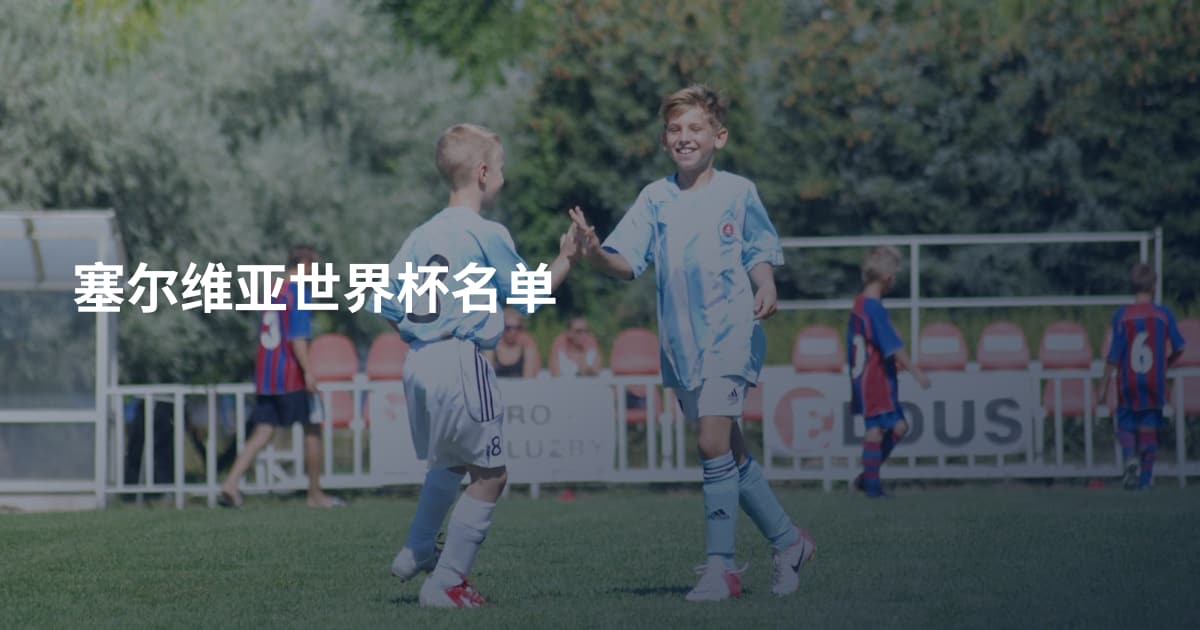 塞尔维亚世界杯名单