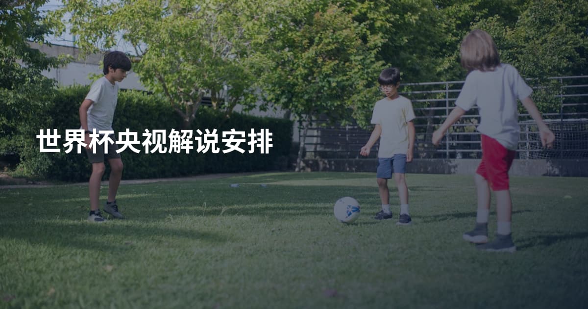 世界杯央视解说安排