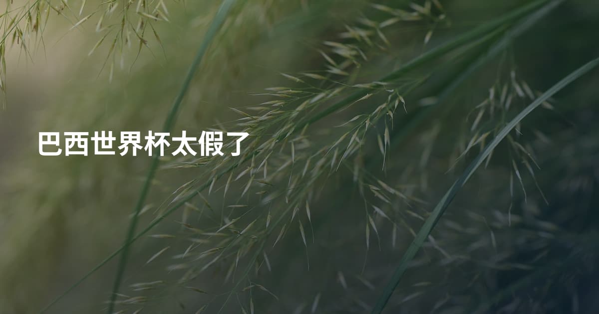 巴西世界杯太假了