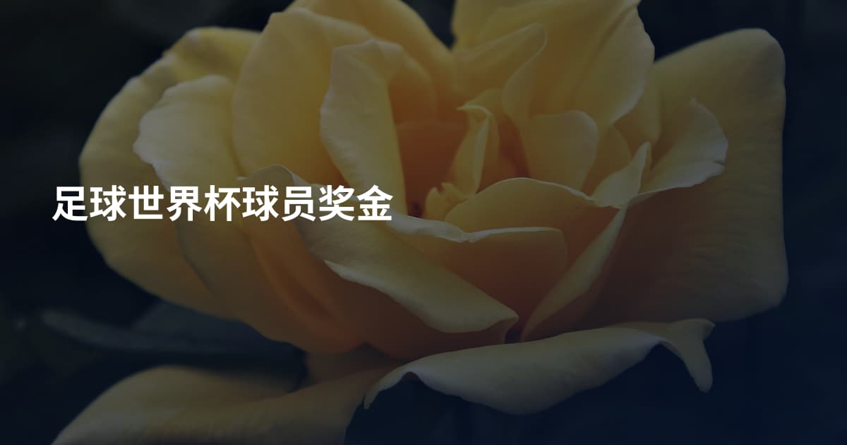 足球世界杯球员奖金