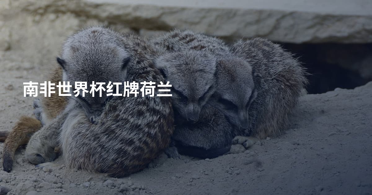 南非世界杯红牌荷兰
