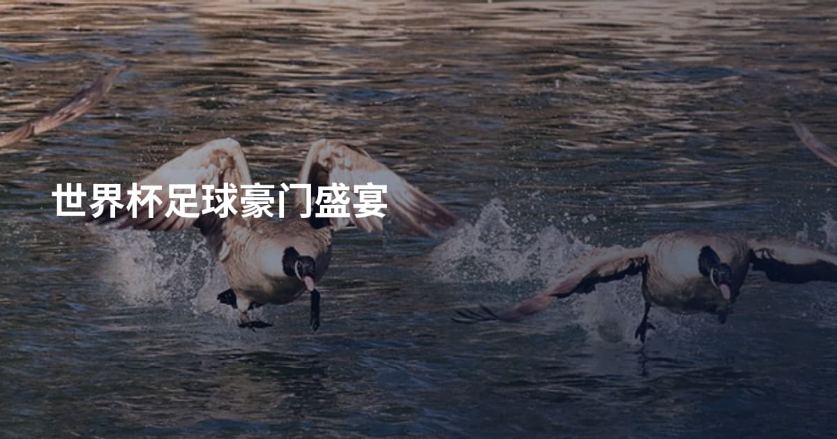 世界杯足球豪门盛宴