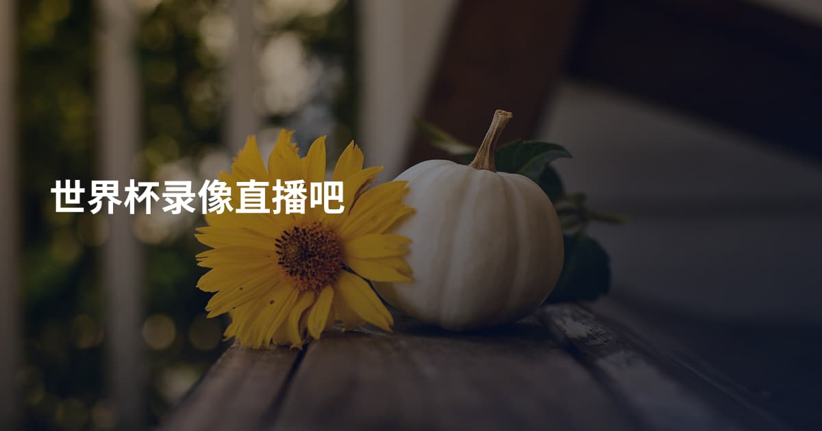 世界杯录像直播吧