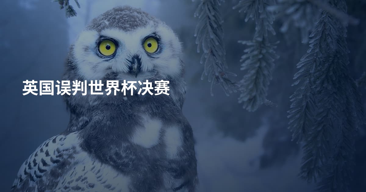 英国误判世界杯决赛