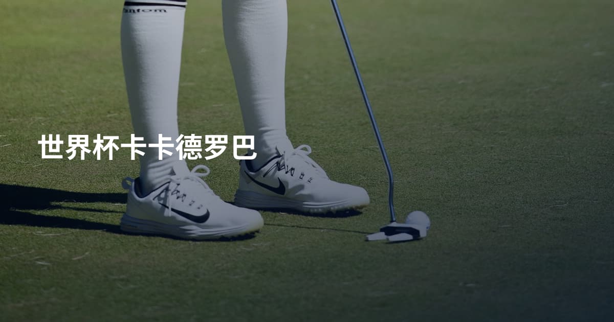 世界杯卡卡德罗巴