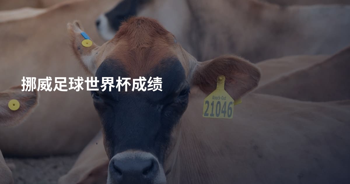 挪威足球世界杯成绩