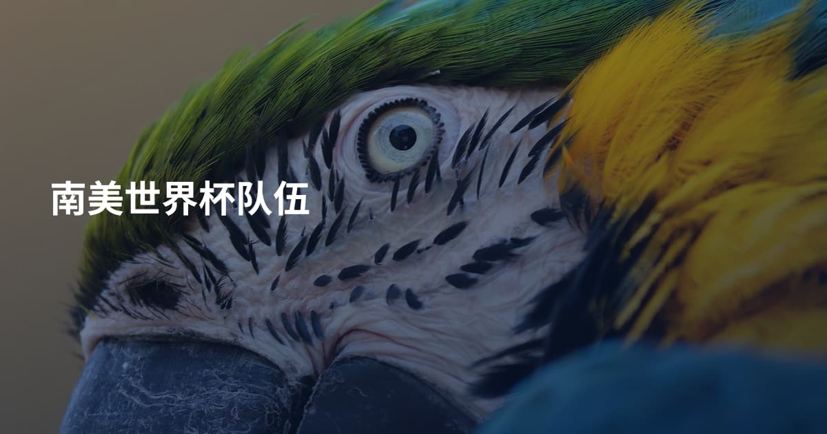南美世界杯队伍