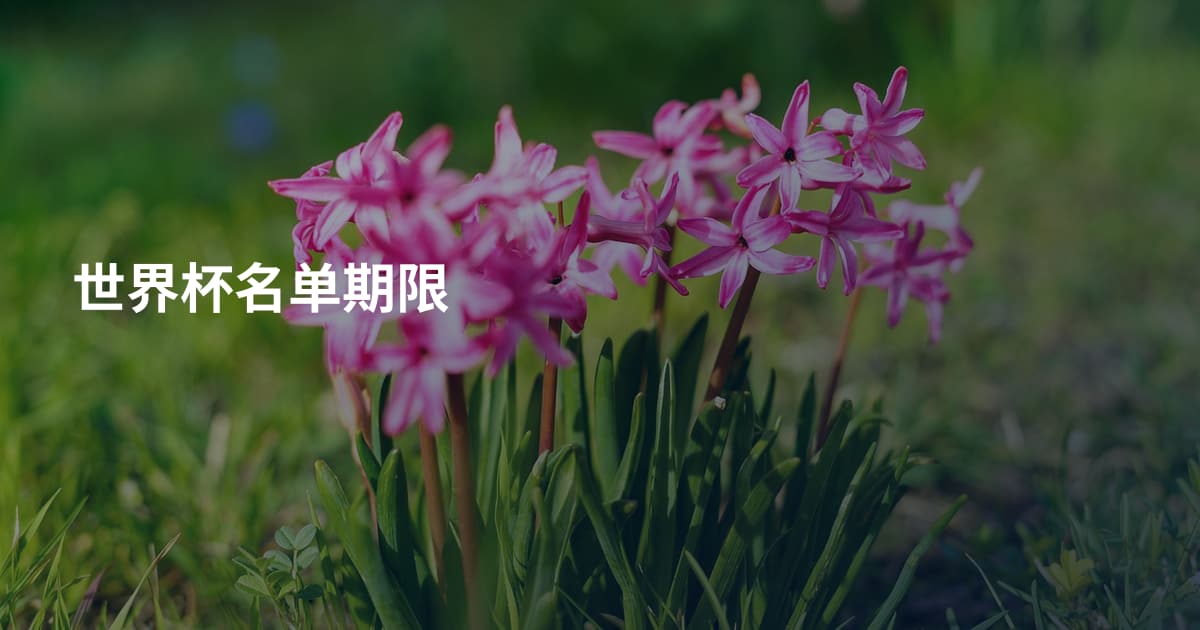 世界杯名单期限