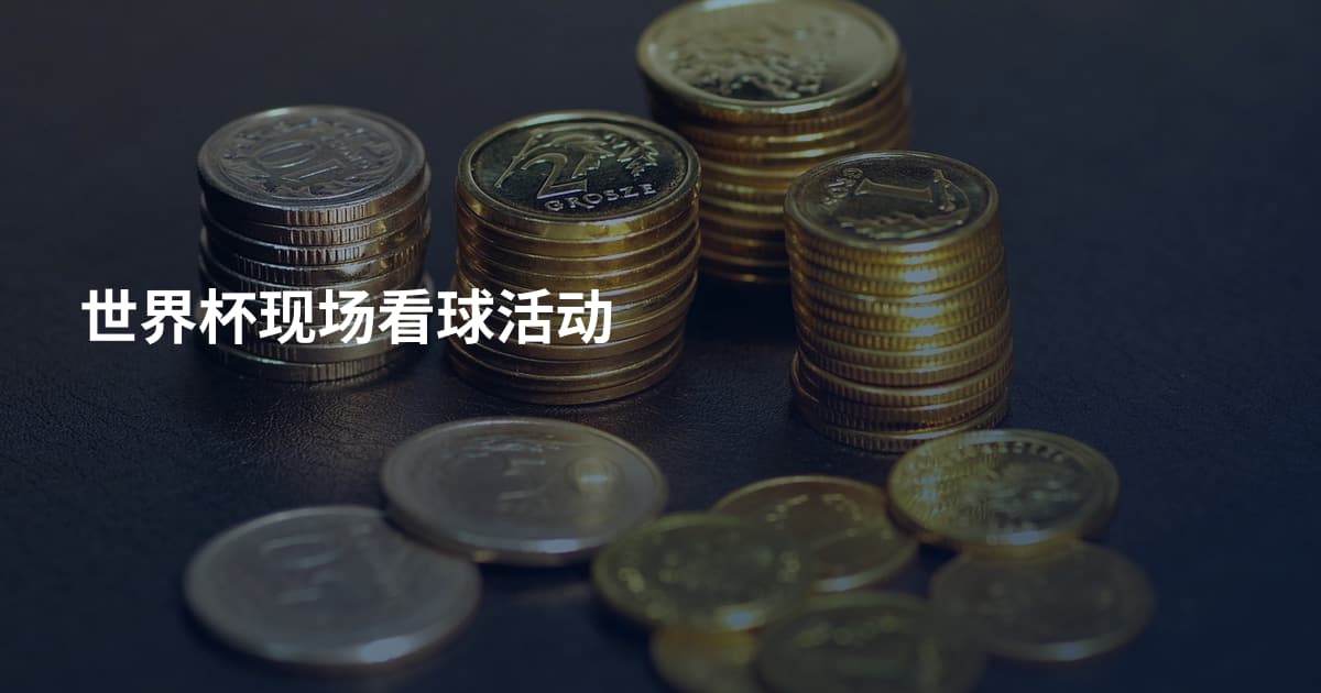 世界杯现场看球活动