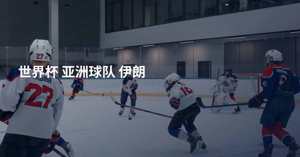世界杯 亚洲球队 伊朗