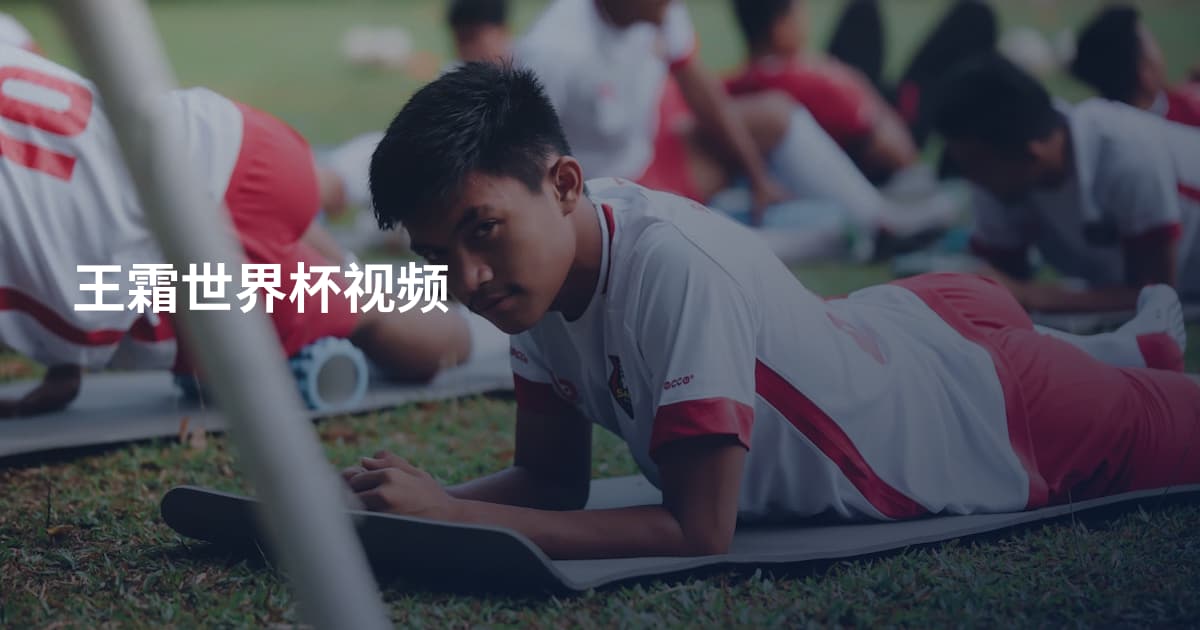 王霜世界杯视频