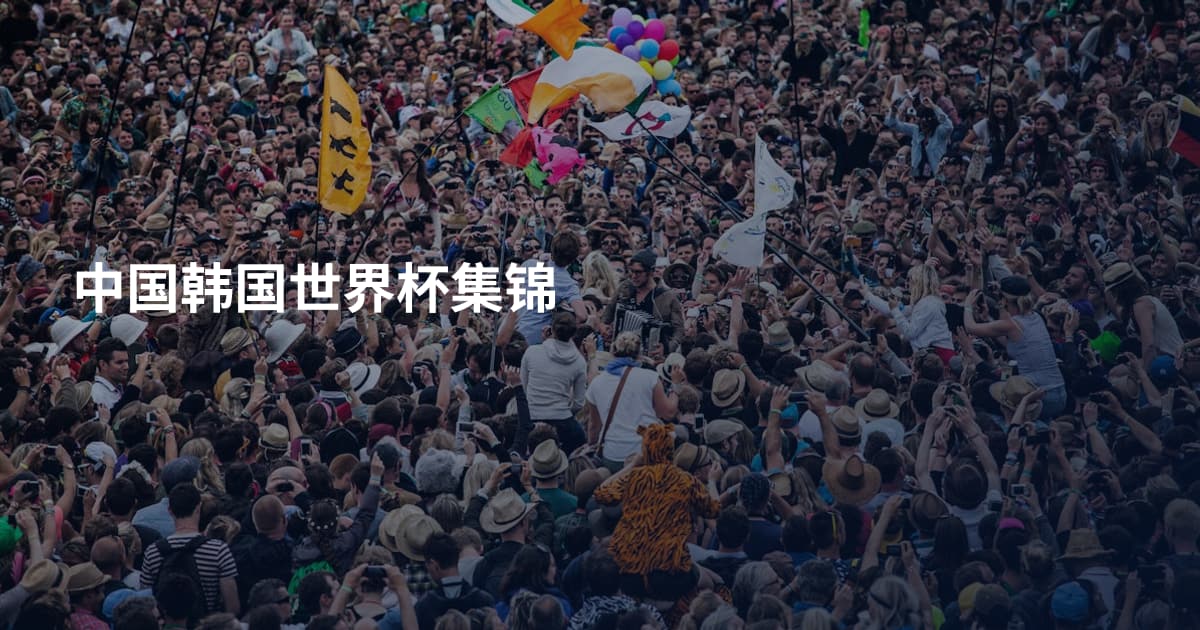 中国韩国世界杯集锦