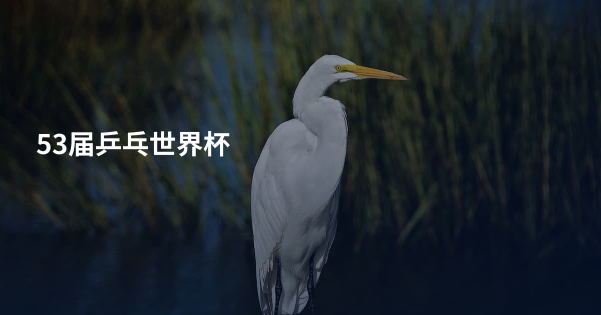53届乒乓世界杯