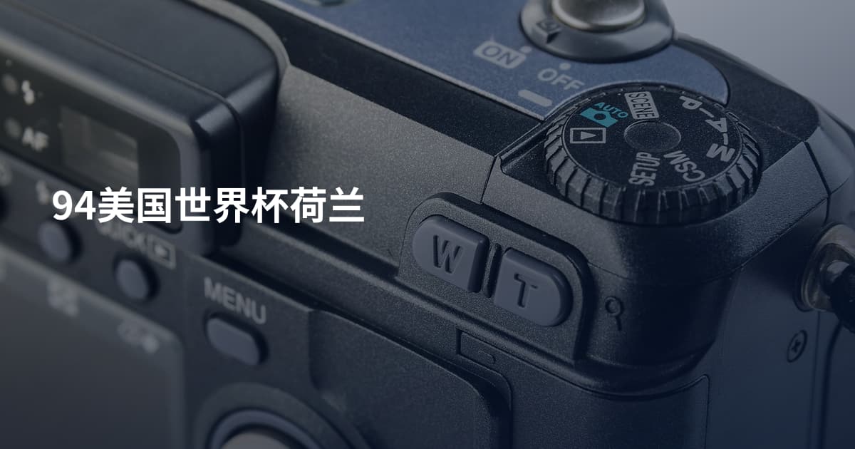94美国世界杯荷兰