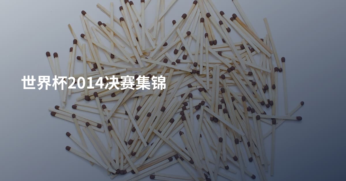 世界杯2014决赛集锦