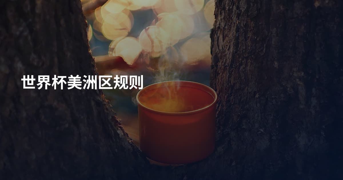 世界杯美洲区规则