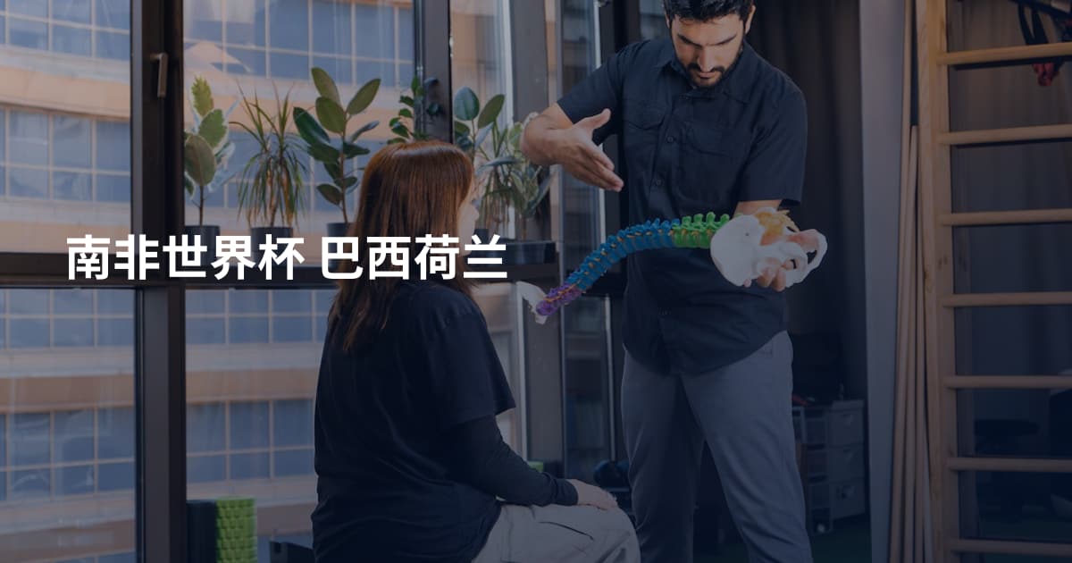 南非世界杯 巴西荷兰
