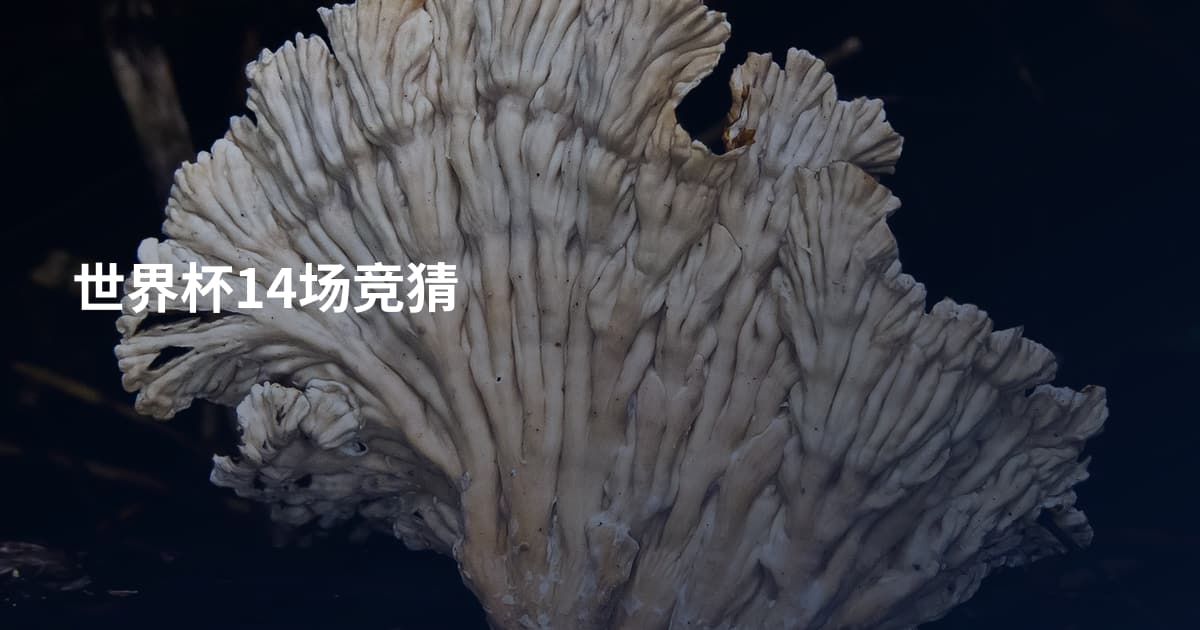 世界杯14场竞猜