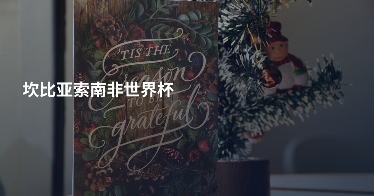 坎比亚索南非世界杯
