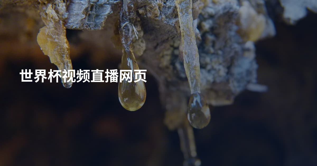 世界杯视频直播网页
