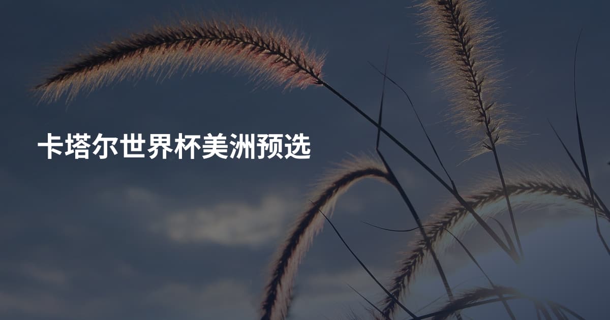 卡塔尔世界杯美洲预选