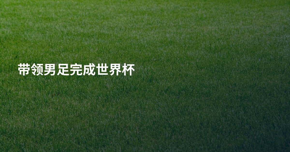 带领男足完成世界杯