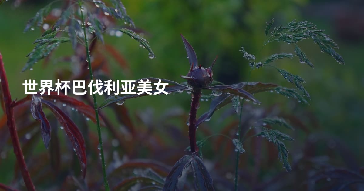 世界杯巴伐利亚美女