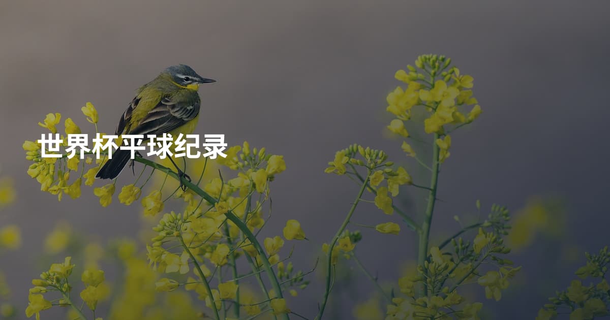 世界杯平球纪录
