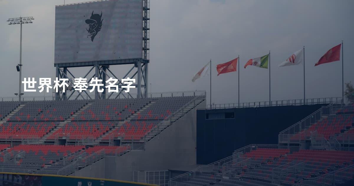 世界杯 奉先名字