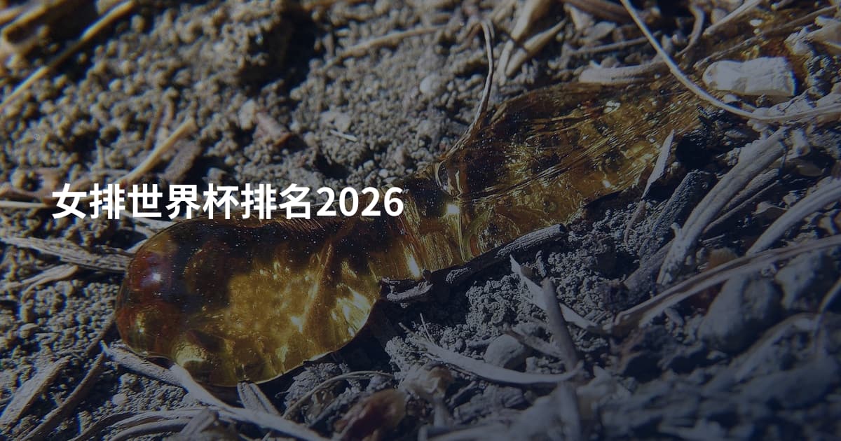 女排世界杯排名2026