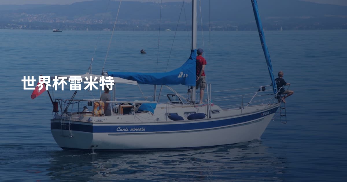 世界杯雷米特