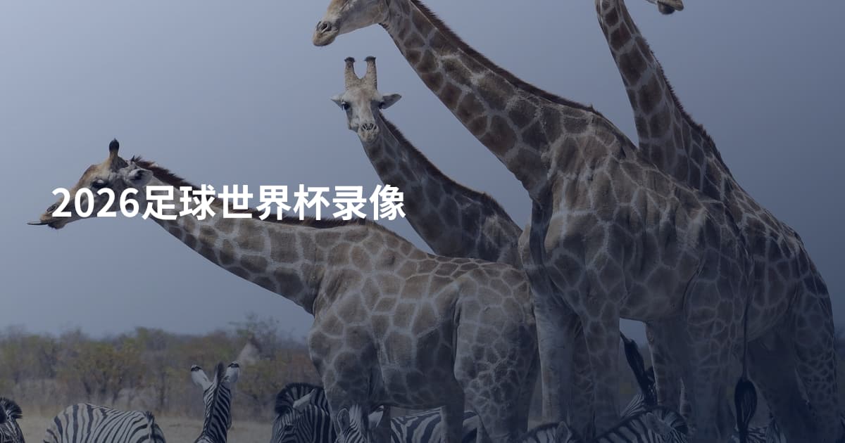 2026足球世界杯录像