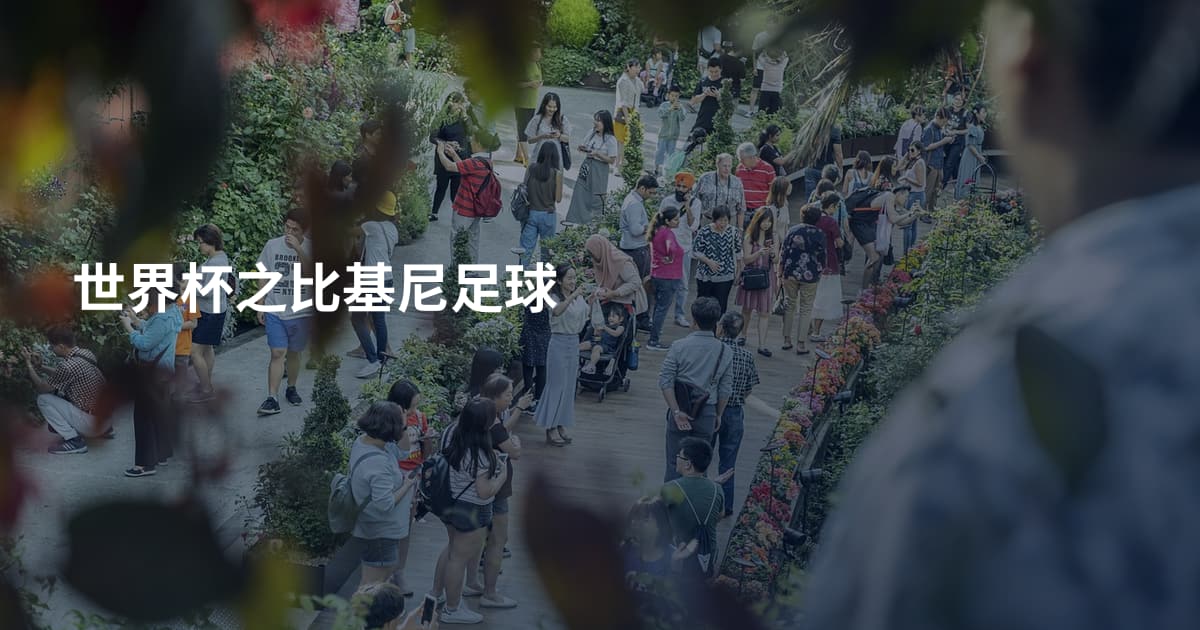 世界杯之比基尼足球