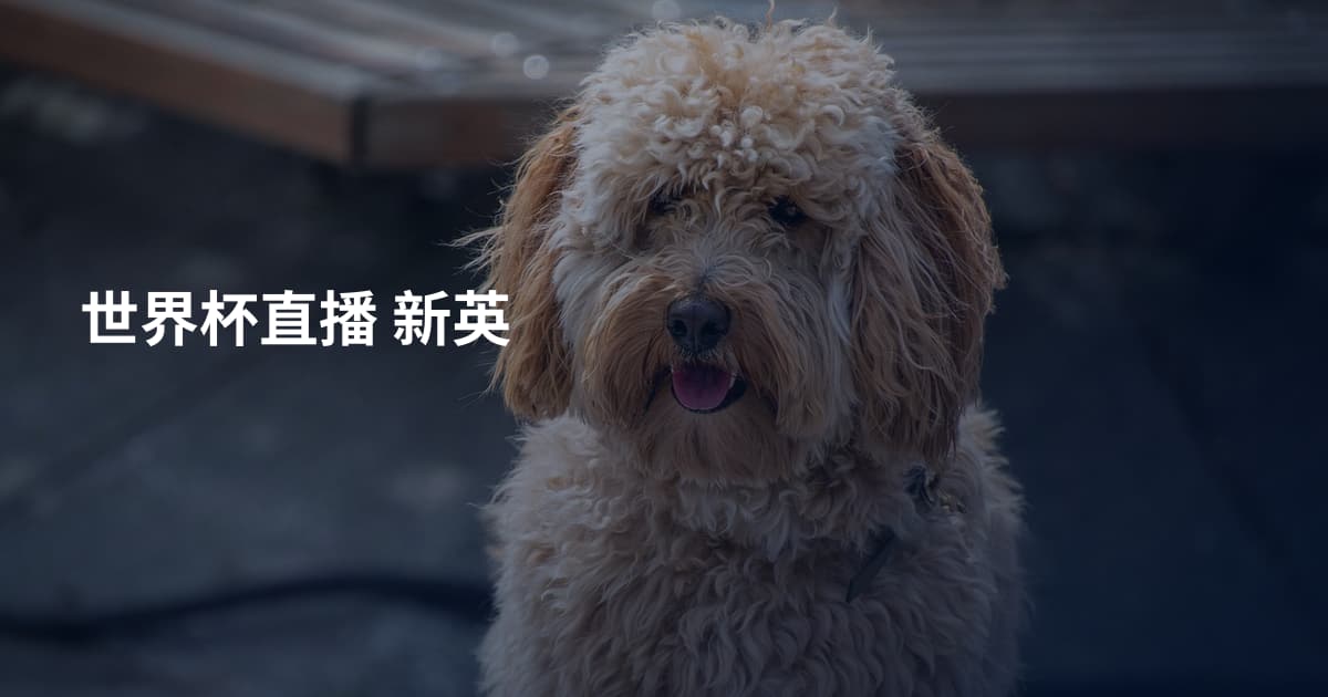 世界杯直播 新英
