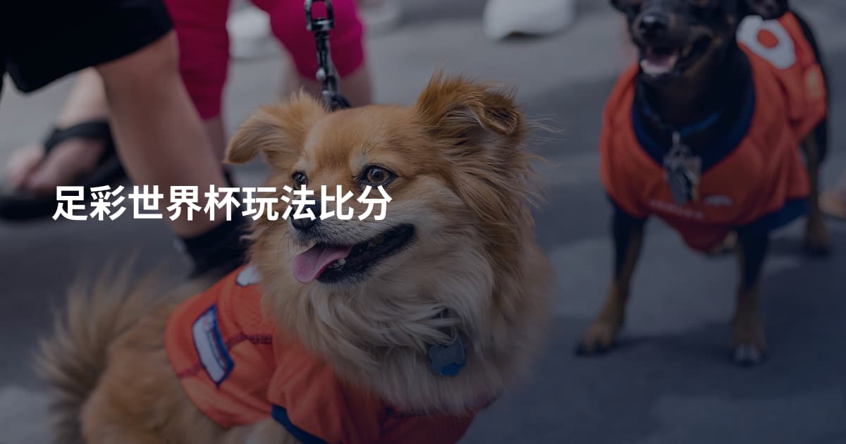 足彩世界杯玩法比分