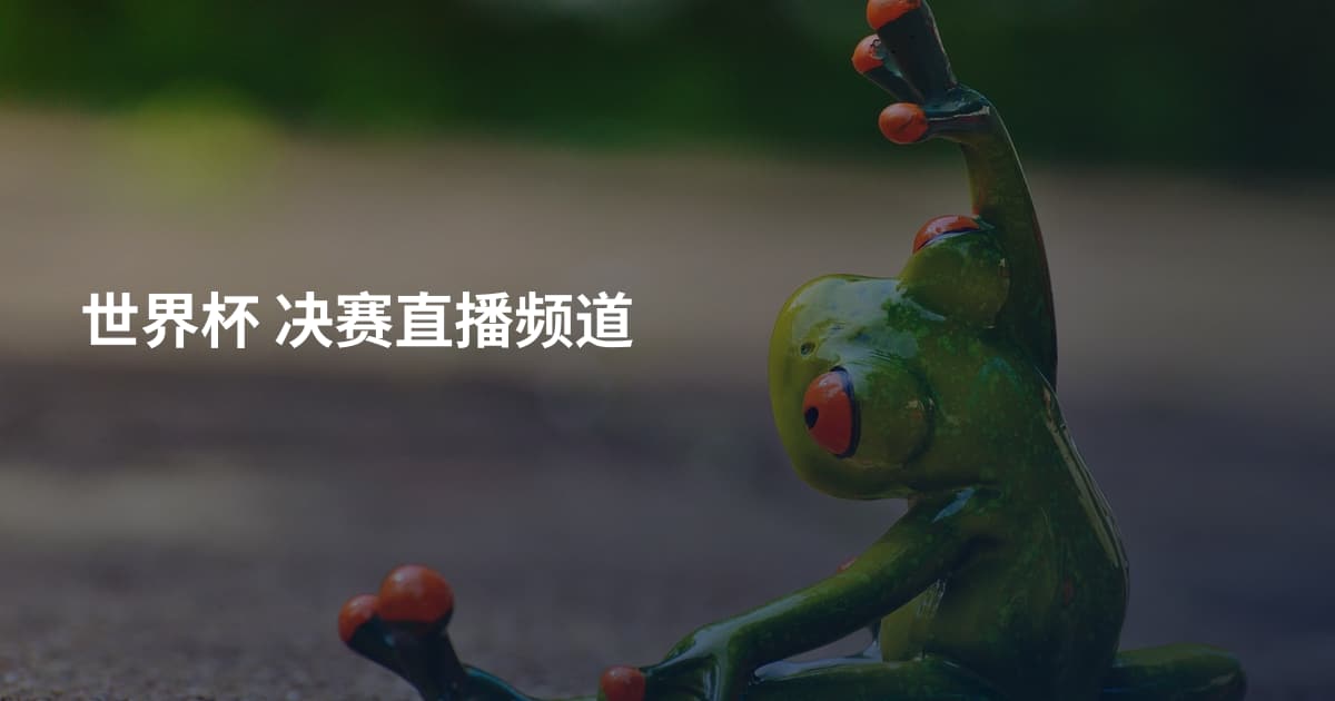 世界杯 决赛直播频道