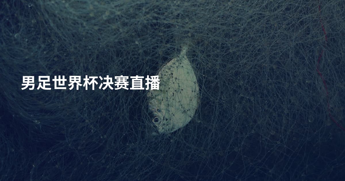 男足世界杯决赛直播