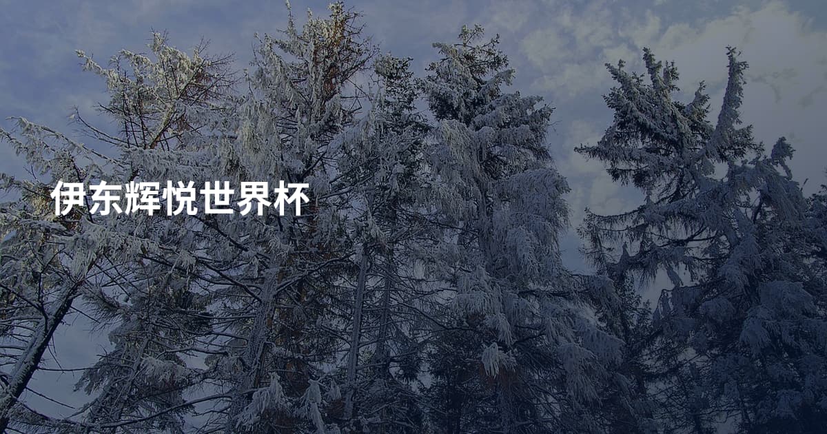 伊东辉悦世界杯